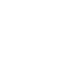 NATSAP Logo