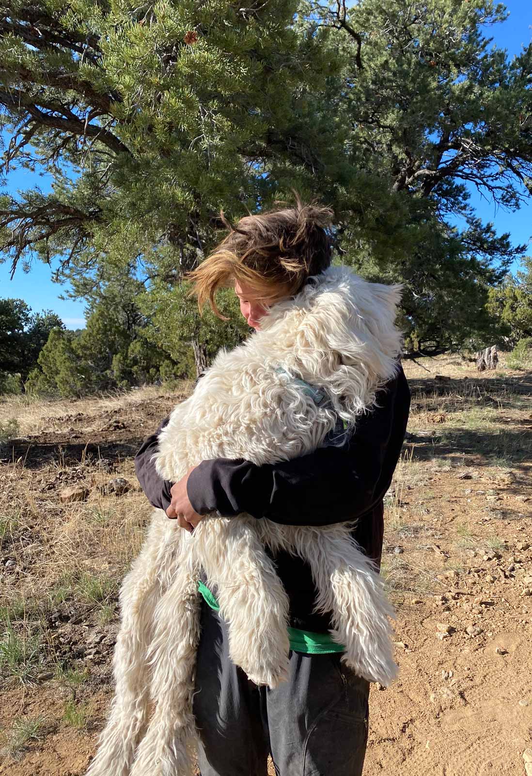 Holding-a-Dog-IMG_1004