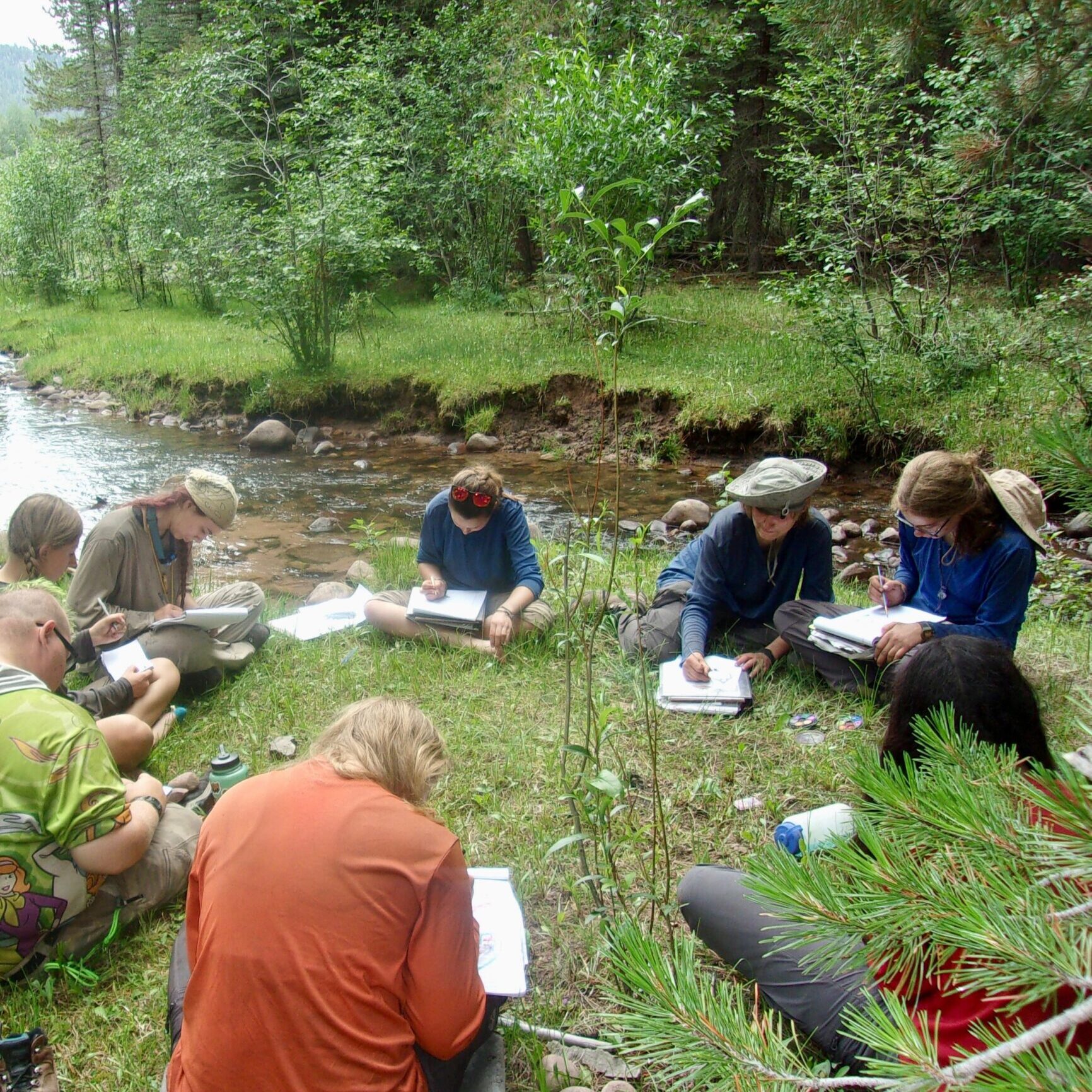 KODAK Digital Still Camera